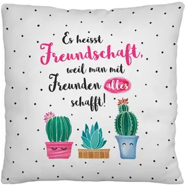 SHEEPWORLD Plüschkissen Motiv Freund 40 x 40 cm Mehrfarbig