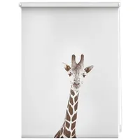 Lichtblick Rollo Klemmfix, ohne Bohren, blickdicht, Giraffe - braun