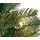 Dehner künstlicher LED-Weihnachtsbaum Finja, ca. H240 cm, Grün