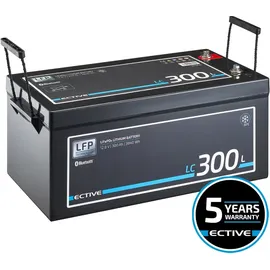 Ective LC 300L Versorgungsbatterie 12V 300 Ah 26,8 x 22,8 cm Schwarz