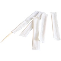 NATUREStar Zahnstocher Papier gehüllt | Birkenholz, 10 g