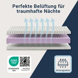 Betten-ABC KSP-500 GreenLine 160 x 200 cm H2