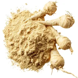 Maca Pulver gelb - bio & roh (0.25kg)