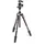 Manfrotto MKBFRTC4GT-BH
