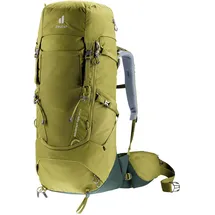 Deuter Aircontact Core 40+10 Cactus-Ivy