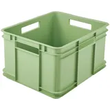 KEEEPER Transportbox Euro-Box XL 43 x 35 x 24 cm 1-tlg. grün