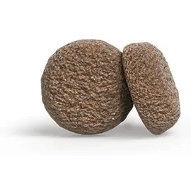 Josera Mini Adult Lamm 900 g