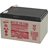EnerSys Genesis Np12-12wt 12v 12ah Faston 6,3mm Agm Blei Akku