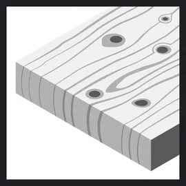 Bosch Exzenterschleifpapier 150 mm 5 Stück