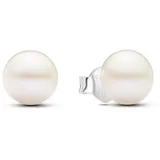 Pandora Ohrstecker 293169C01