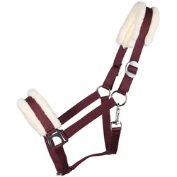 QHP Halfter Cali - Passion Flower - Pony