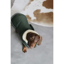 Kentucky Dogwear Hundemantel 300g XL