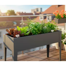 Westmann Vedura M 30 x 100 x 80 cm Anthrazit