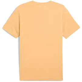 Puma Unisex ESS 2 Color No. 1 Logo Tee T-Shirts, Almost Apricot,