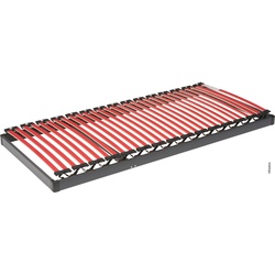 Elastica Active Balance Fix Lattenrost - 100x220cm	Fix=unverstellbar