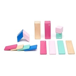 Tegu - 14 Magnetische Holzbausteine pink