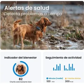tractive GPS Tracker Hund 2025 Edition Live-Ortung Weglaufalarm Aktivitätstracking Gesundheitswarnungen Bellverhalten Empfohlen von Mart