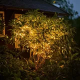 esotec Solar Lichterkette 6 m Wetterfest Schwarz