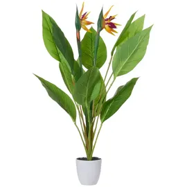 Gasper Strelitzia getopft ¦ grün ¦ Kunststoff ¦ Maße (cm): H: 80