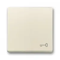 Busch-Jaeger Wippschalter 2520 TR-82