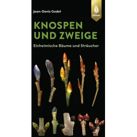 Verlag Eugen Ulmer Knospen und Zweige: Einheimische Bäume und Sträucher (GODET Naturführer)