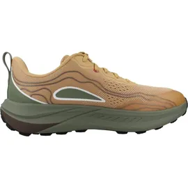 Teva Trailwinder Low Herren Braun/Grün 45