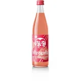 fritz-spritz Bio-Rhabarberschorle 8 Flaschen je 0,5l inclusive Pfand  (4 Liter)