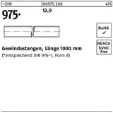 REIDL DIN 975 Gewindestange VG M12x1000 Stahl 12.9 blank