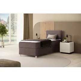 beautysofa DONNA MINI 100 x 200 cm Braun