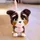 Hasbro FurReal Friends Walk-A-Lots Bernadoodle 20 cm mehrfarbig