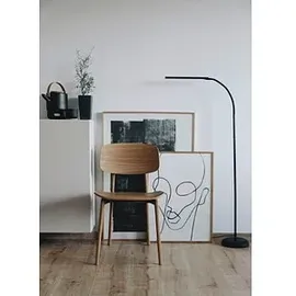 Maul MAULpirro 8234890 schwarz