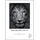 Hahnemühle Photo Matt Fibre Duo 210 g/m2,