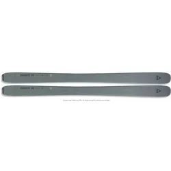 FISCHER Herren Freeride Ski RANGER 90, Grau, 170