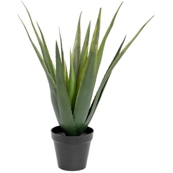 Kunstpflanze Aloe-Vera Pflanze, Kunstpflanze, 60cm Aloe Vera, EUROPALMS, Höhe 60 cm