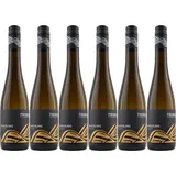 6x Riesling Eiswein (Flaggschiff), 2024 - Weingut Fischer (Franken), Franken! W...