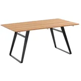 Niehoff Elba Gartentisch 180x95cm Stahl/Teak Schwarz|Natur