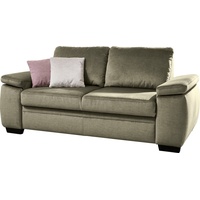 Die PlanBar Schlafsofa MP-PD19021, mit Längsschläferfunktion 140x210 cm grün