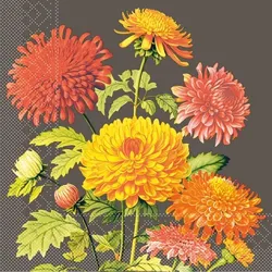 Tissue Serviette Amara, 40x40 cm, 100 Stück - Mank - Floral Chrysanthemen Herbst