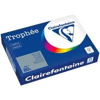 Clairefontaine Kopierpapier 1993PC A4 80g stahlgrau 500 Blatt