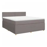 vidaXL Boxspringbett mit Matratze Taupe 180x200 cm Stoff