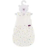 Träumeland Babyschlafsack Außenschlafsack LIEBMICH, Design BrummBrumm (1 tlg) bunt 68/74