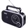 Roadstar TRA-2235 schwarz