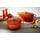 Le Creuset Signature Bräter 27 cm oval kirschrot