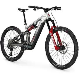 Focus Sam2 2025 29 Zoll RH XL Nepalsilver / Steelgrey