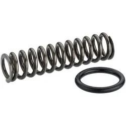 Feder Satz ∙ mit Stützring 9037SPC-012/3