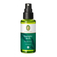 Primavera Raumspray Energiekick