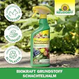 NEUDORFF BioKraft Grundstoff Schachtelhalm AF Spray 500 ml