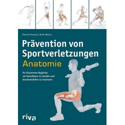 Prävention von Sportverletzungen – Anatomie