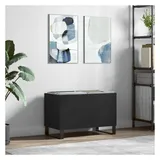 vidaXL Plattenschrank 74,5 x 38 x 48 cm Schwarz