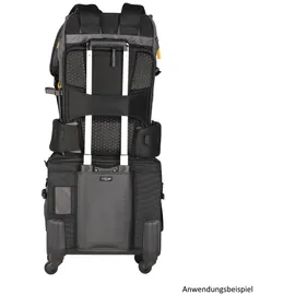 Vanguard VEO ACTIVE 53 Grau| Preis nach Code NIKOLAUS